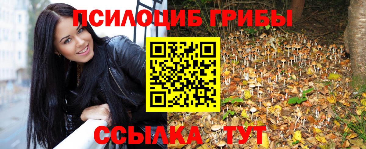 Галлюциногенные грибы Psilocybine cubensis Усть-Илимск